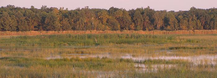 George W Mead wildlife refuge