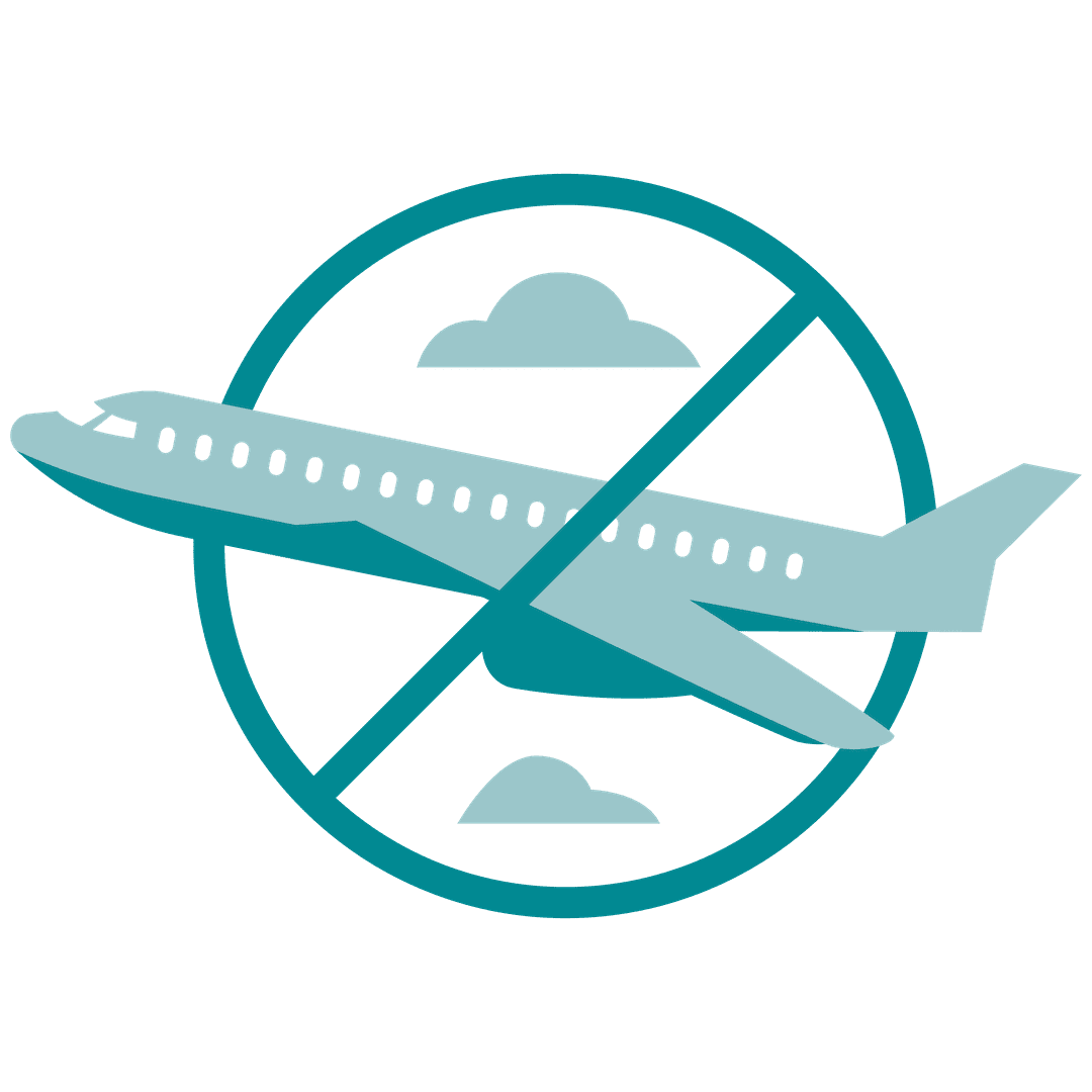airline icon