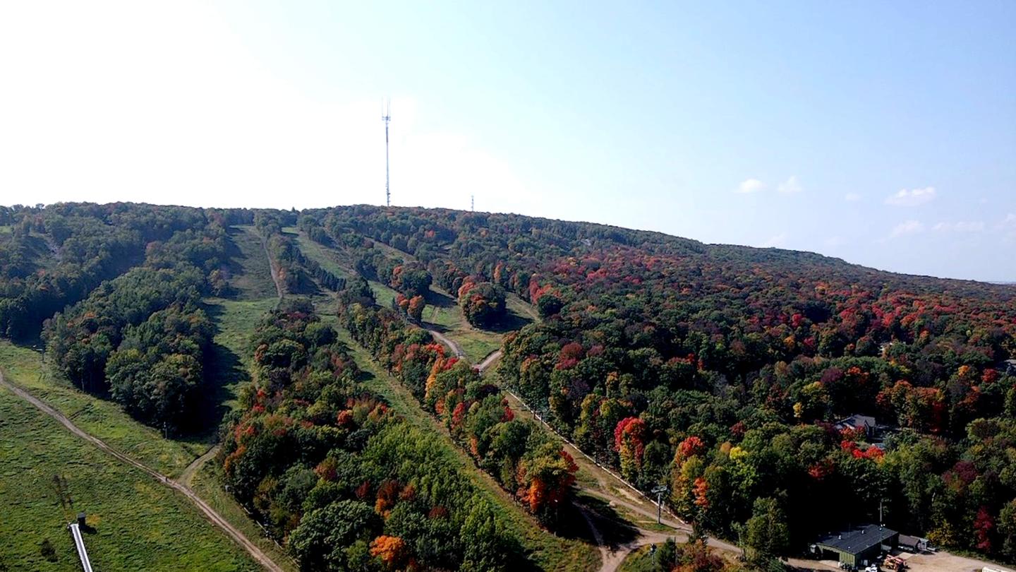 Foliage Tracker