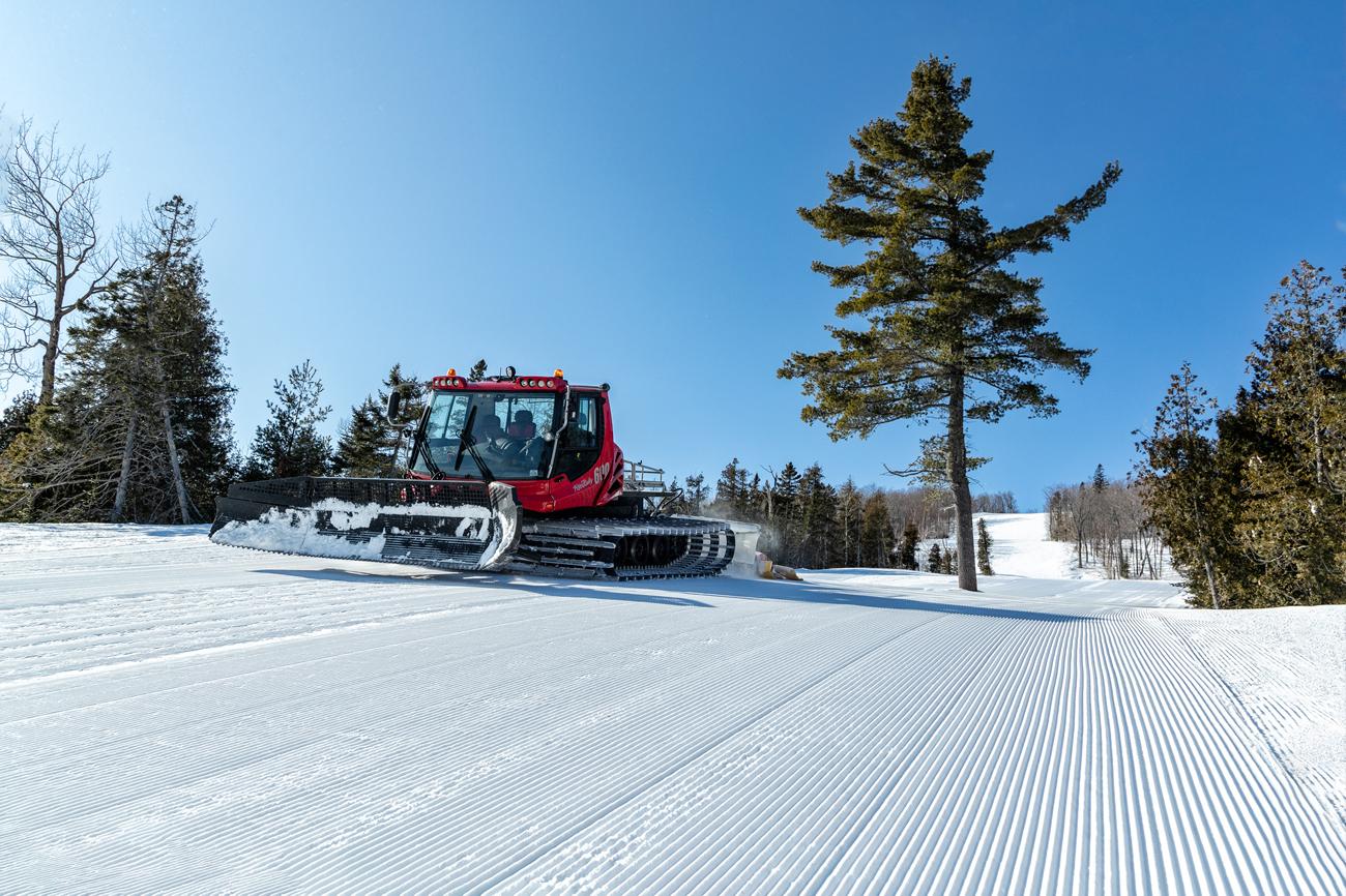 Groomers