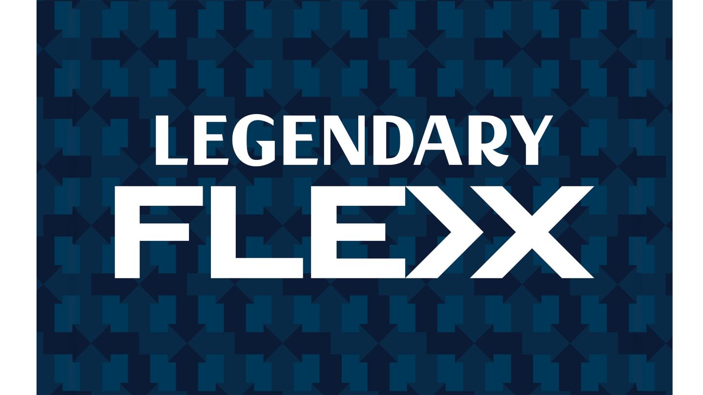 Flex 3