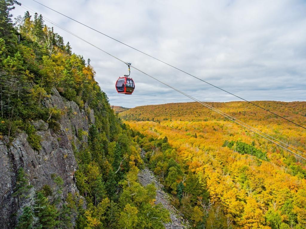 Cable car above a forested valley in autumn colors.