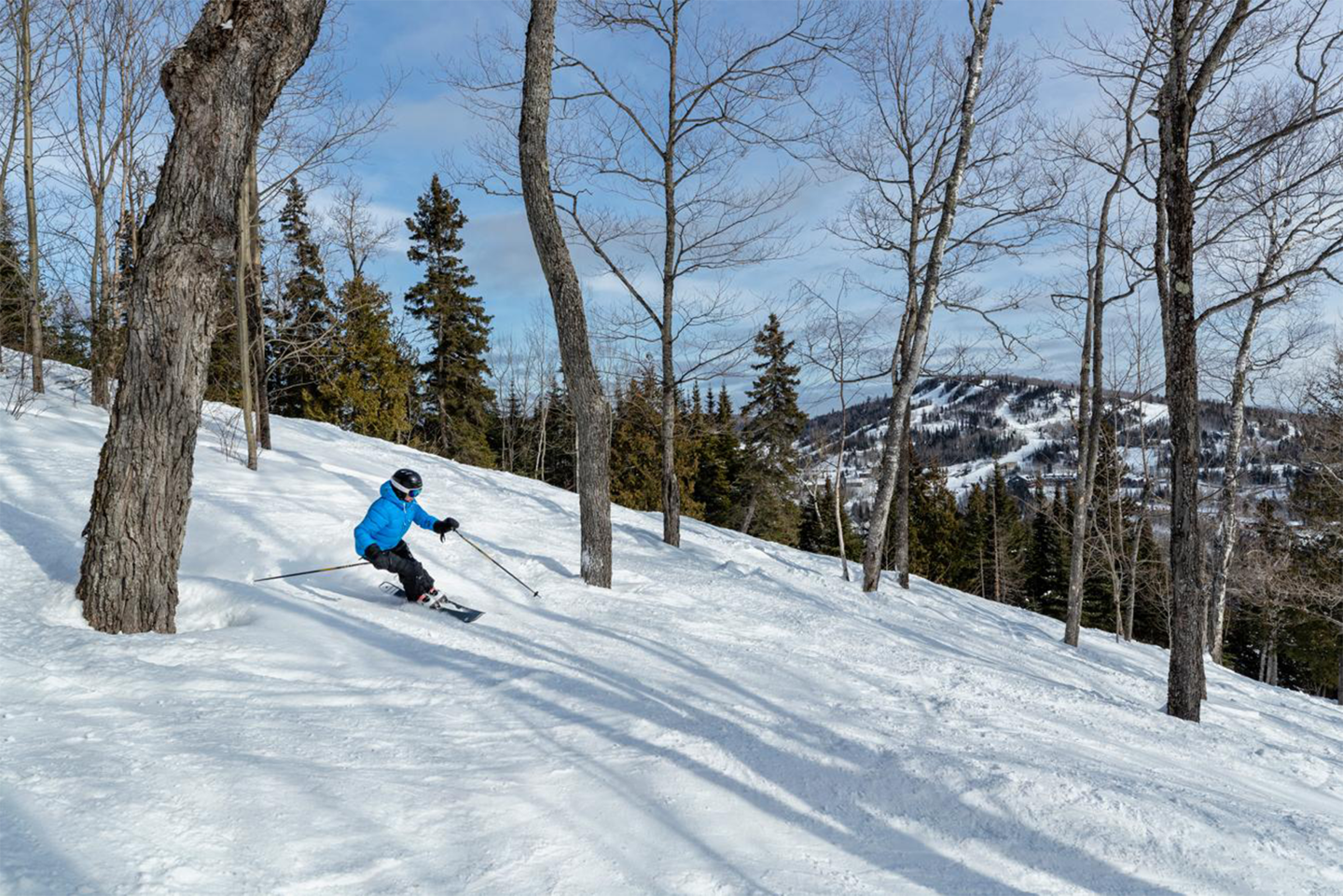 Skier in blue jacket gliding downhill between bare trees, snowy mountain in the background.