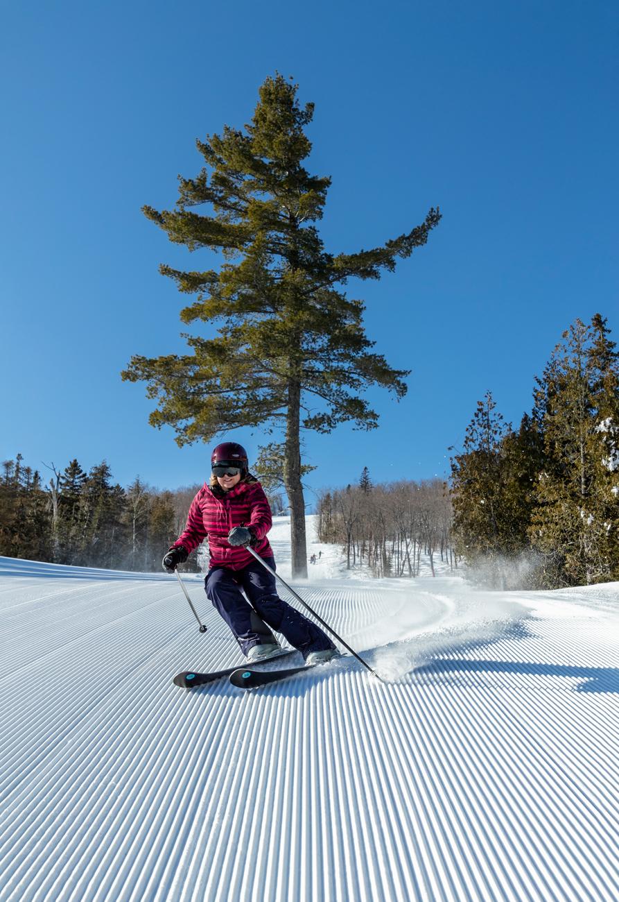 Skier in red jacket gliding downhill on a sunny day with trees in the background.