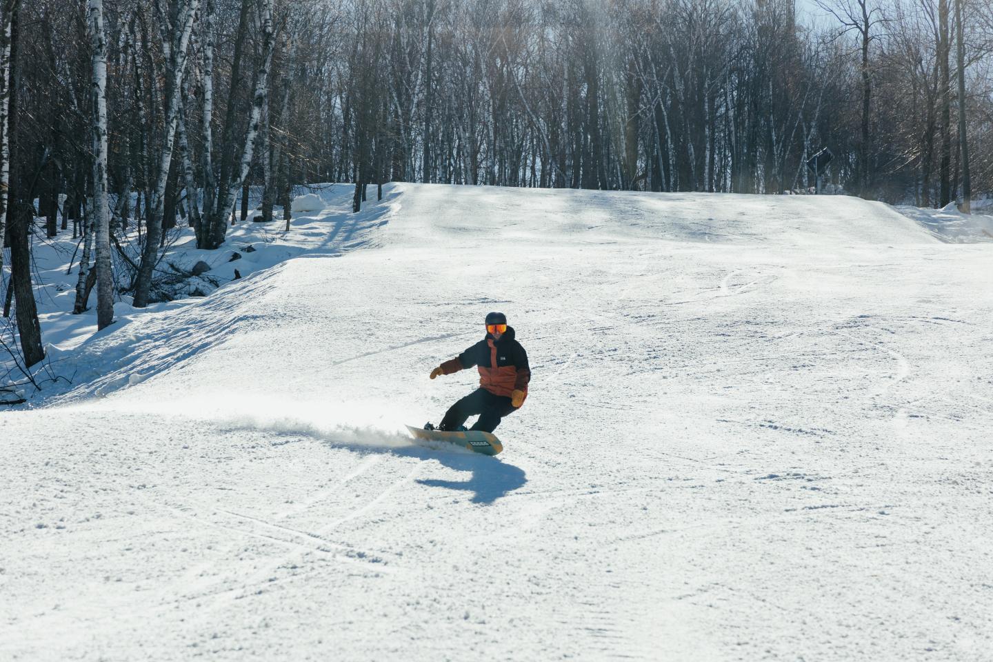Snowboarder gliding down a sunlit snowy slope, surrounded by trees.