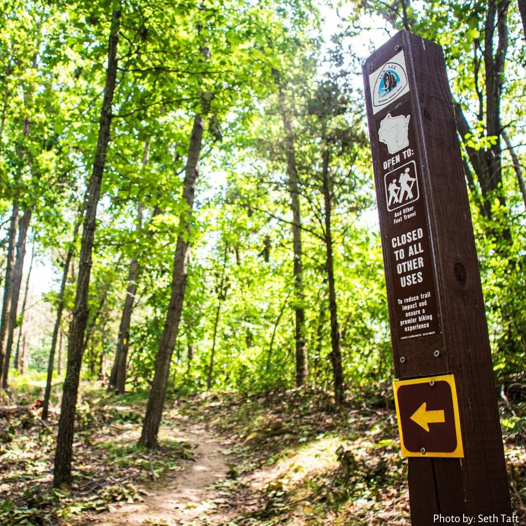 Trail signpost in a lush, green forest with sunlight filtering through trees.