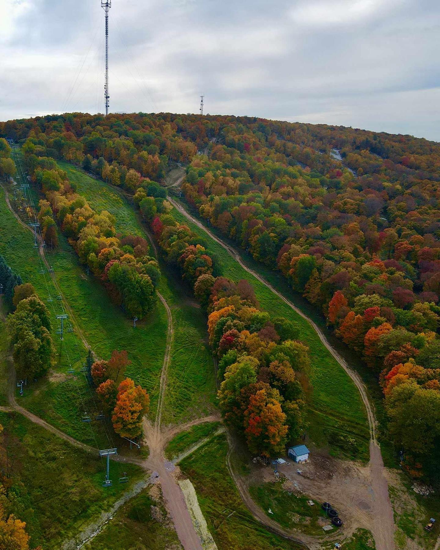 Hilly landscape with colorful autumn trees and grassy paths.