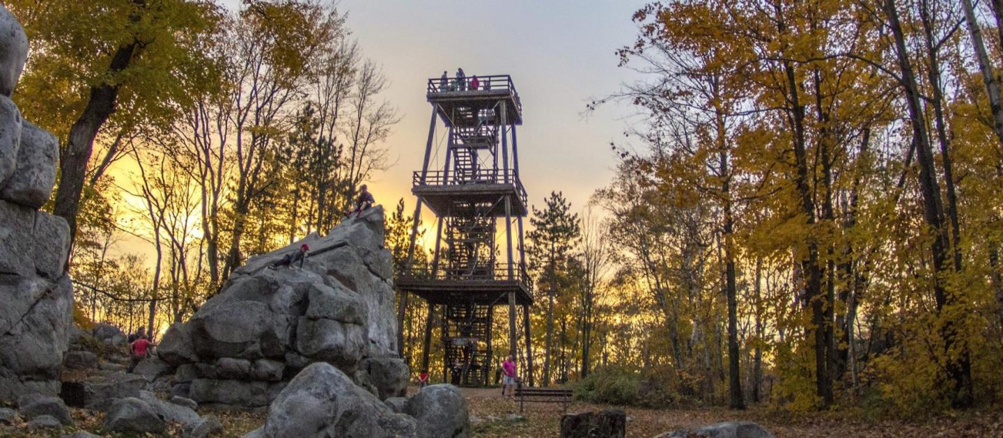Observation tower surrounded by autumn trees at sunset.