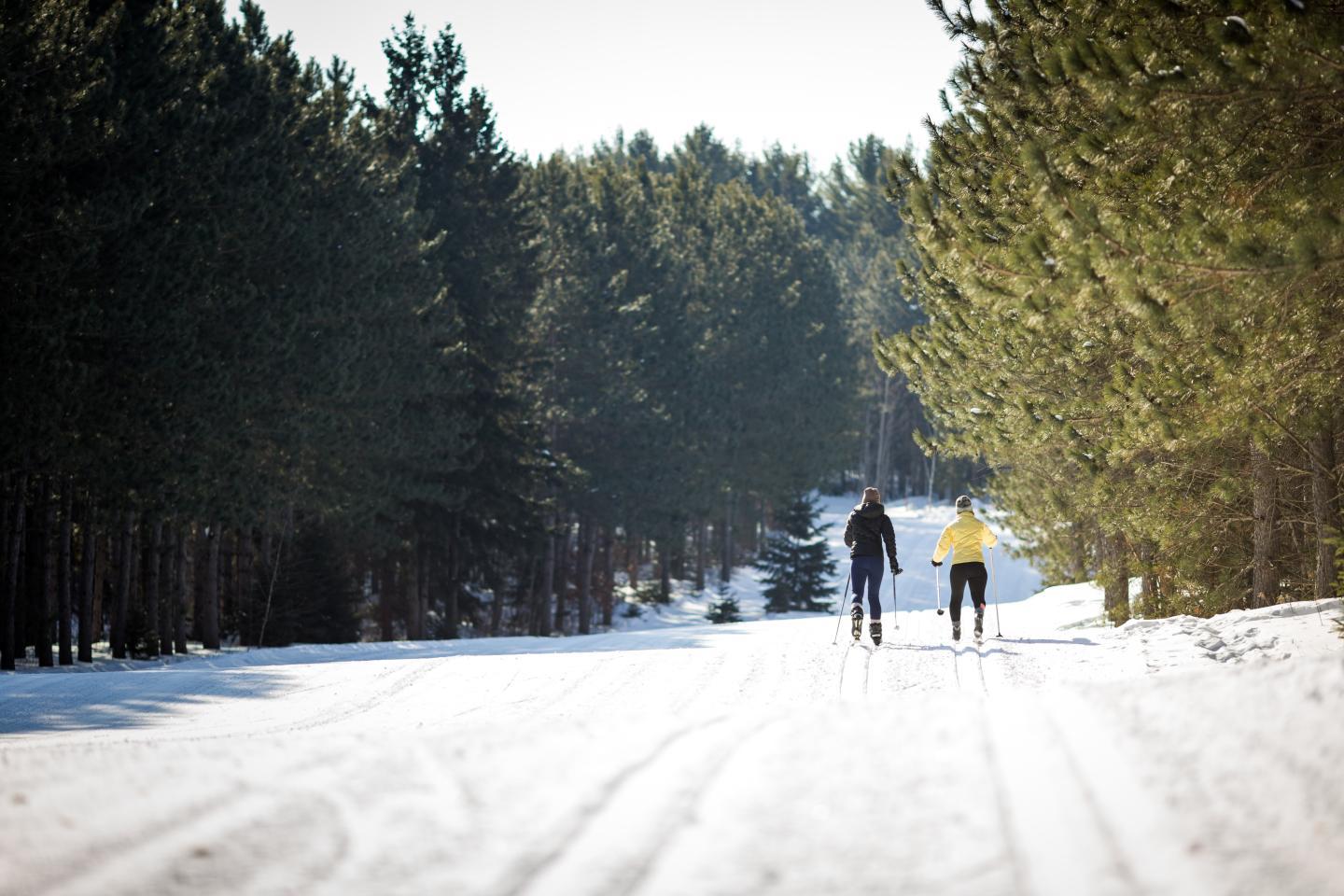 Two people cross-country skiing on a snowy trail through a pine forest.