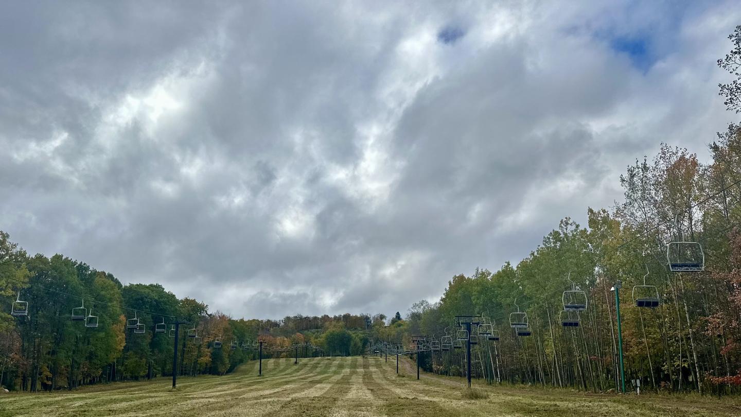 Wide grassy field with trees and cloudy sky.