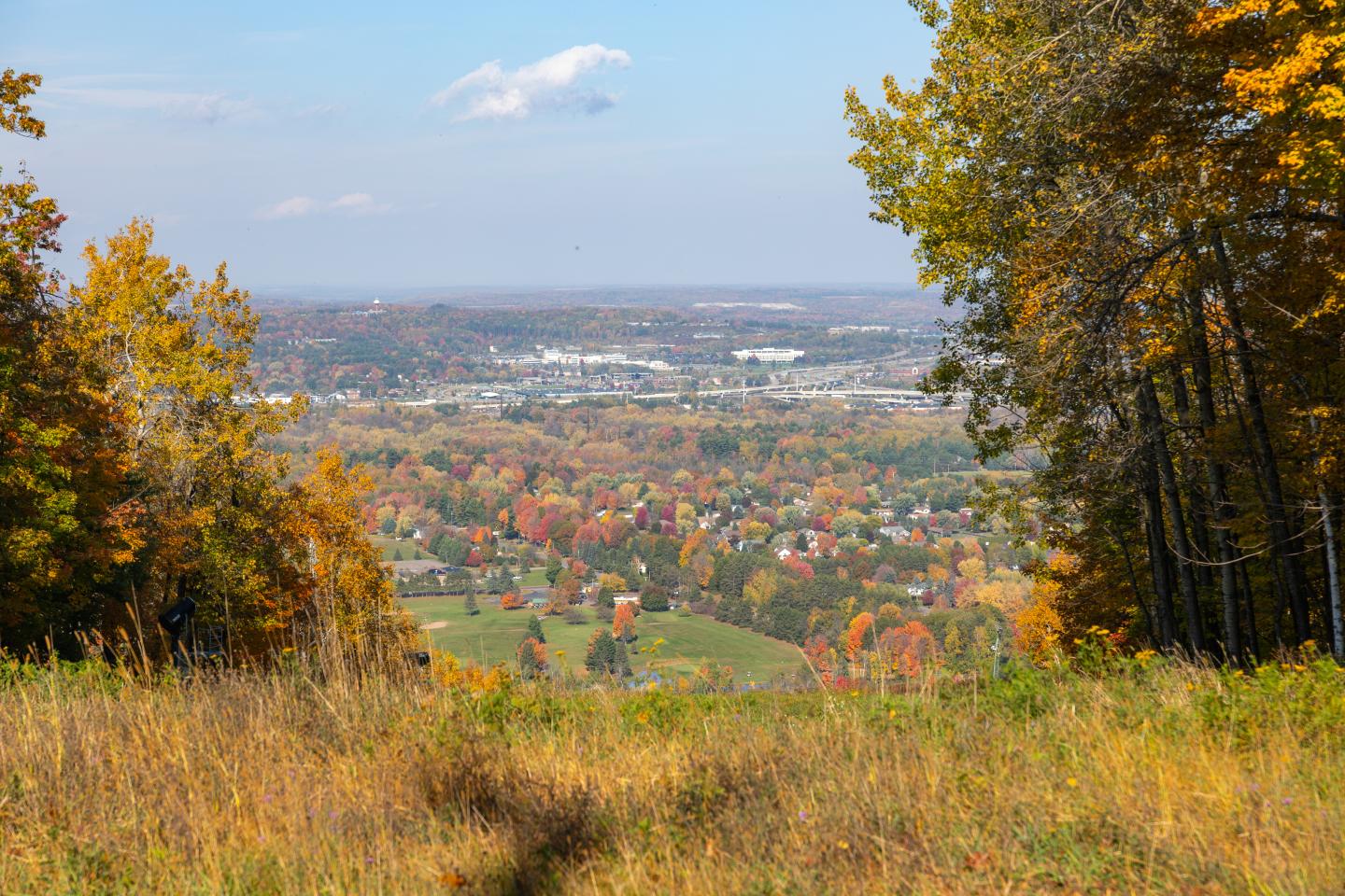 Autumn landscape with colorful trees and distant town.