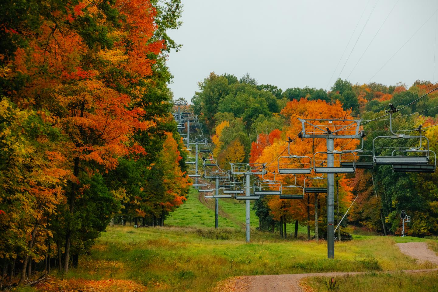 Chairlift among vibrant autumn trees in a scenic landscape.