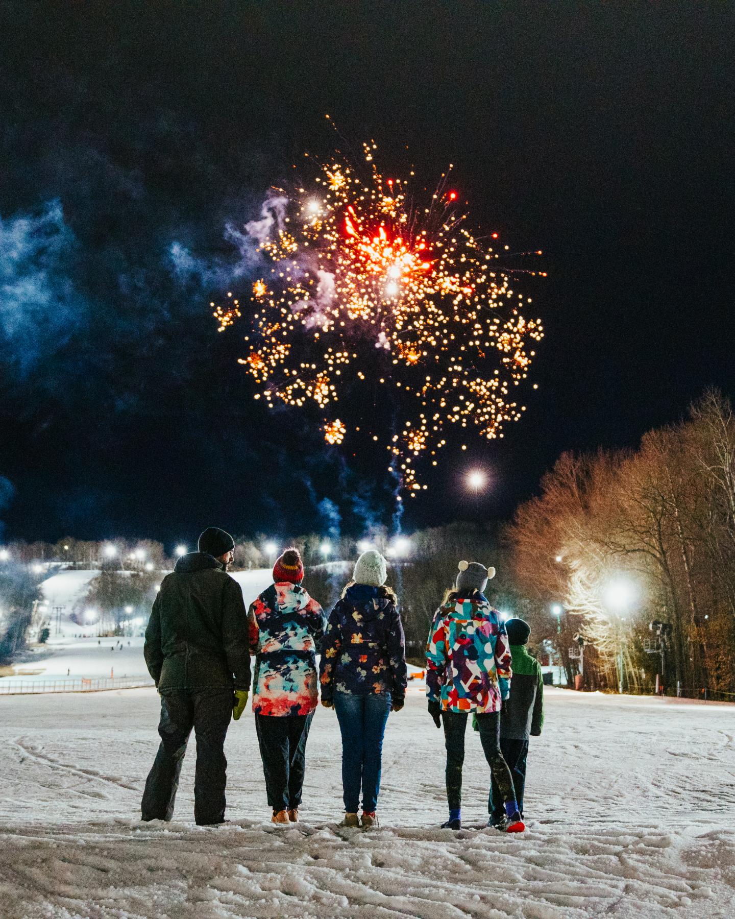 Five people watching colorful fireworks at night in a snowy area.